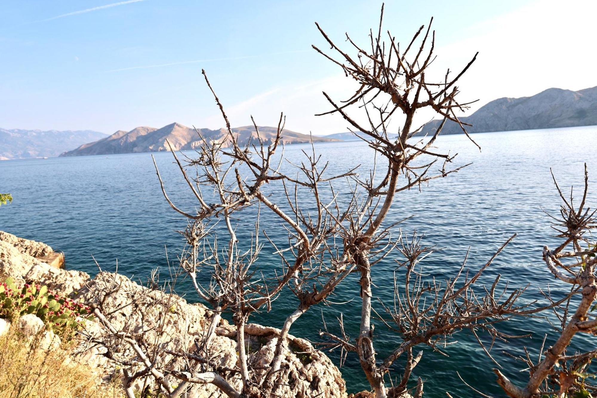 Villa Perla Baska 외부 사진
